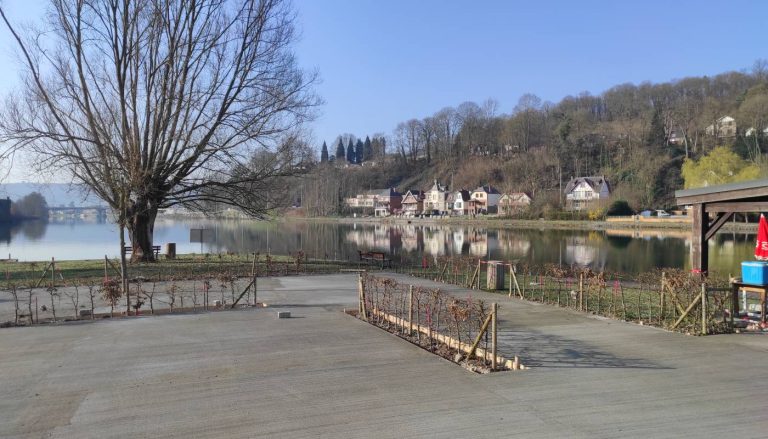 dalle-beton-brosse-naturel-yvoir